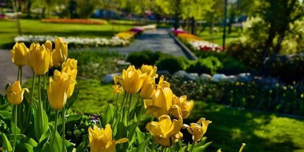 Parco Oasi Rossi - Santorso (Vi)